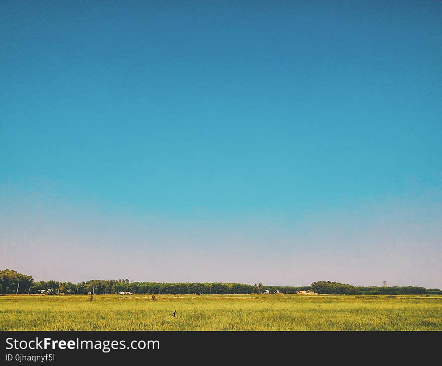 Grass Field Under Blue Sky at Daytime