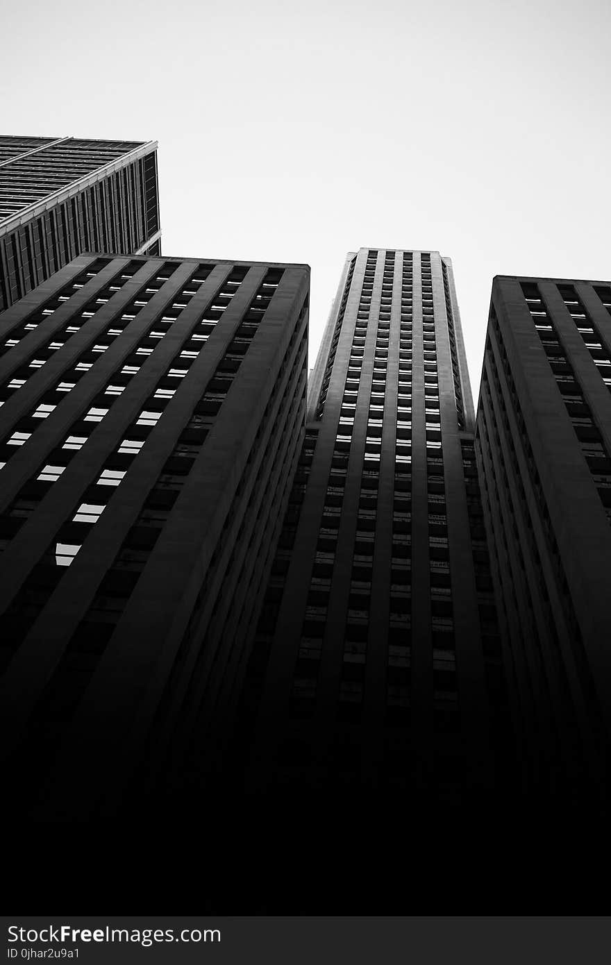 Monochrome Photo of High-rise Buildings