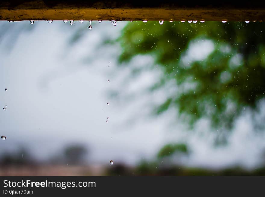 Photography of Rainy Weather With Trees