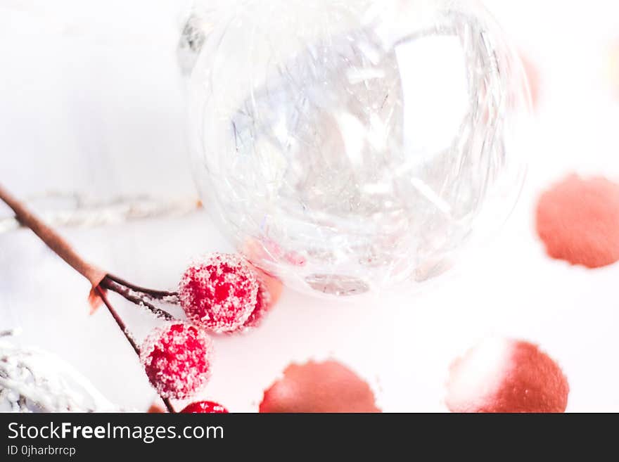 Selective Focus Photography of Frost Covered Red Cherries