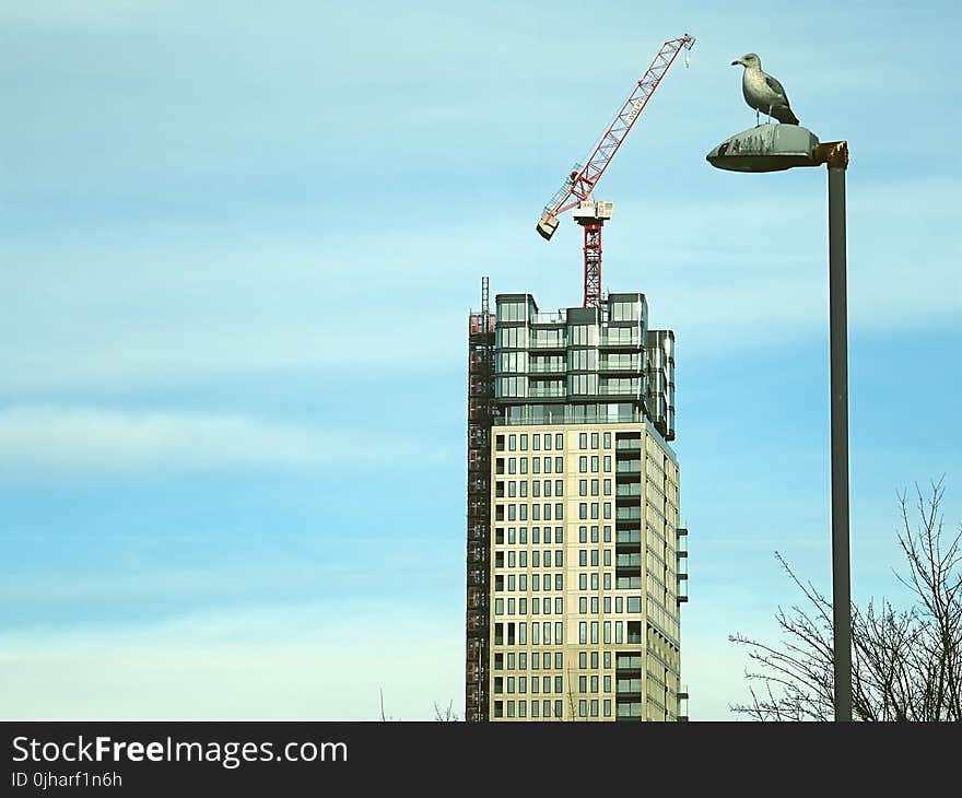 Beige Concrete High-rise Building