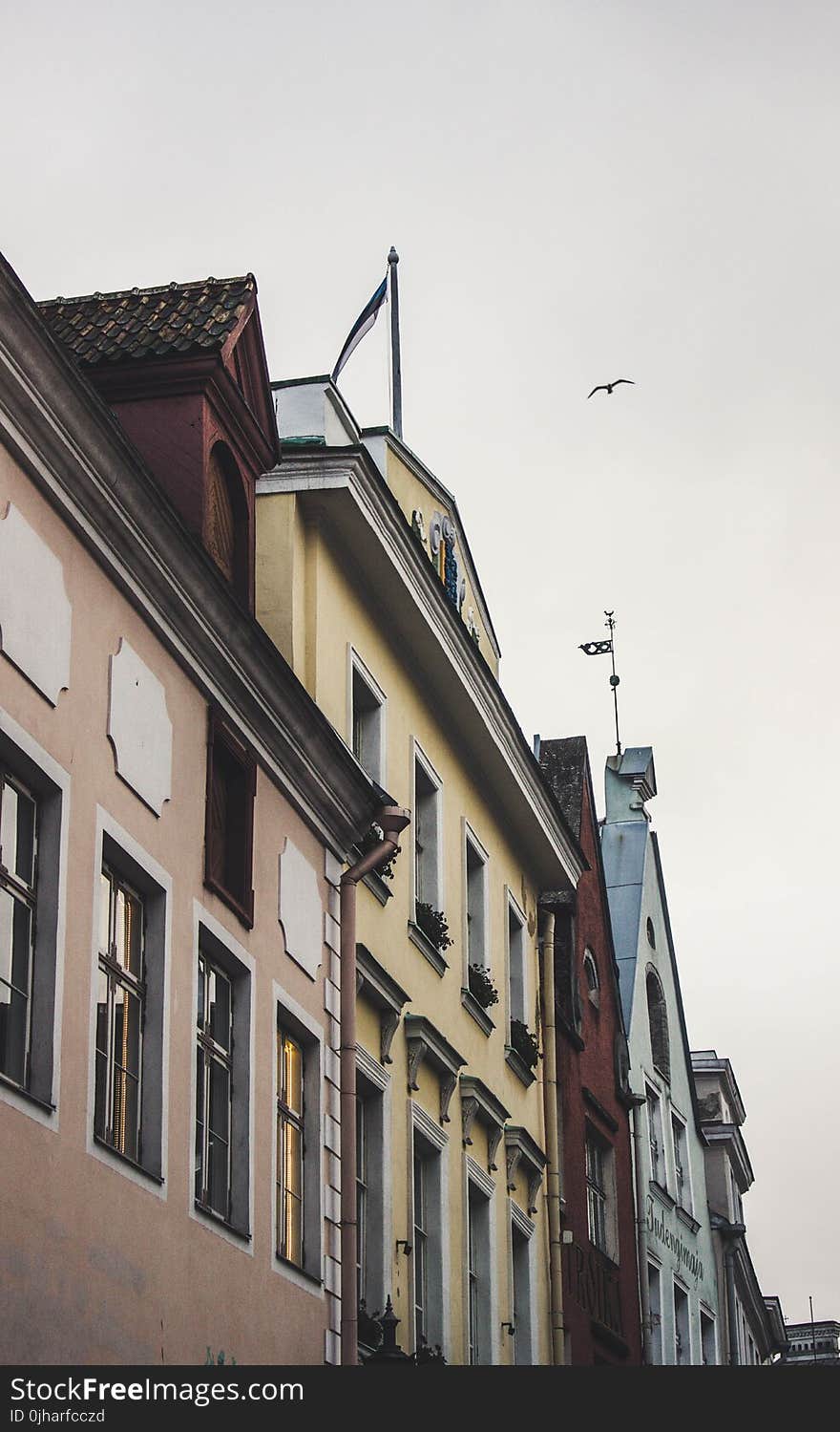 Pink, Yellow, and Red Painted Buildings