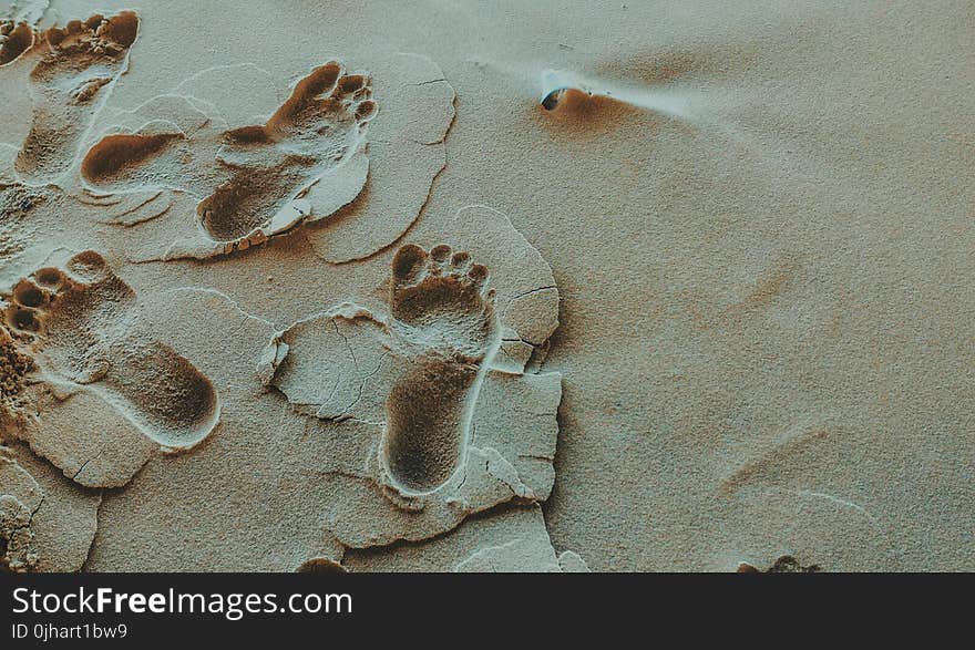 Person Foot Prints on Sands Photo