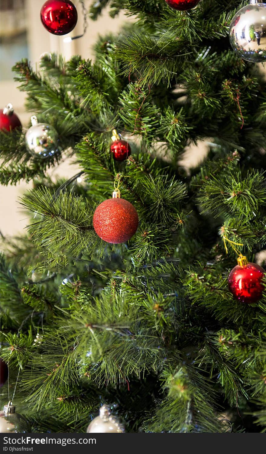 Green and Red Christmas Tree