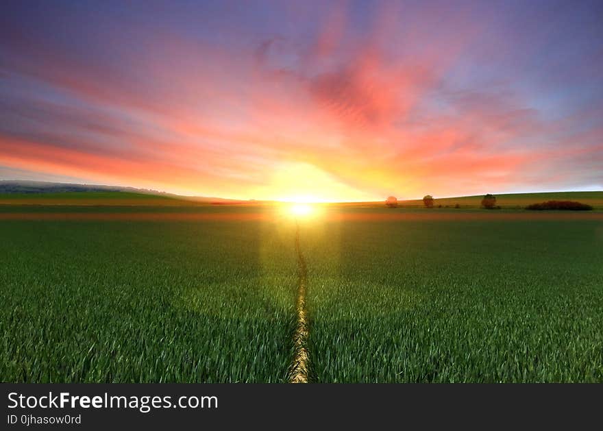 Photography of Footpath Between Green Grass Field during Golden Hour