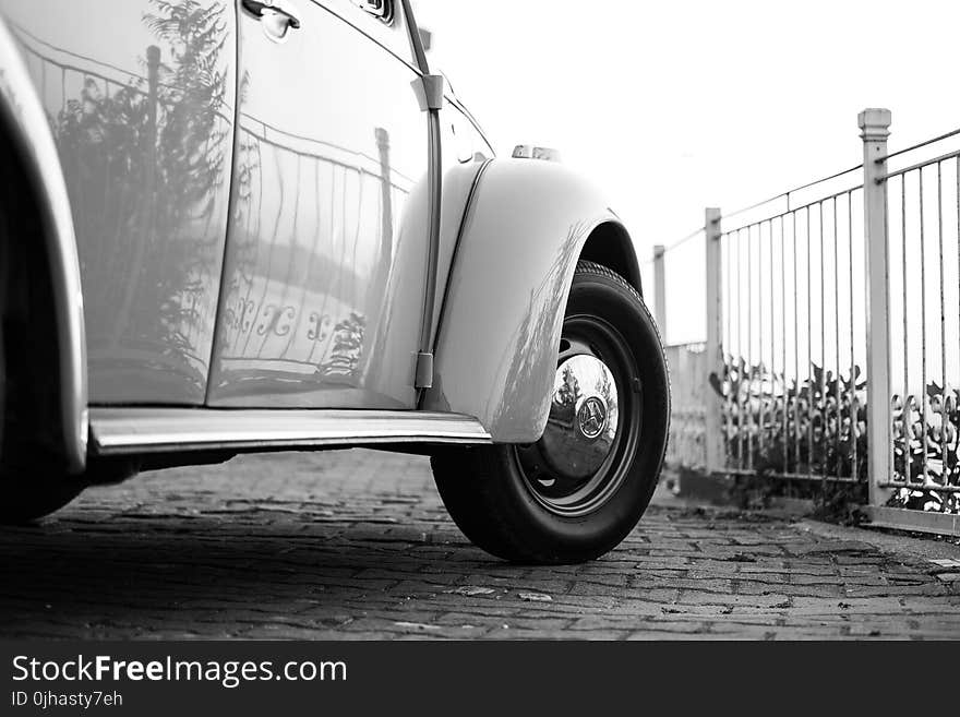 White Volkswagen Beetle Near White Metal Fence