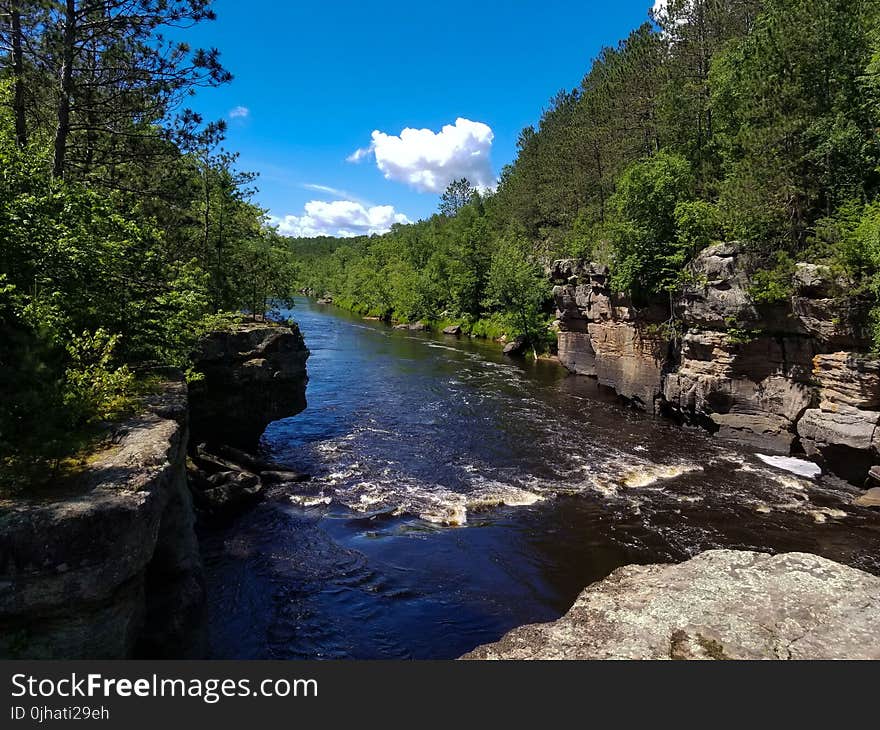 Green Leaf Trees Along River Under White Clouds and Blue Sky