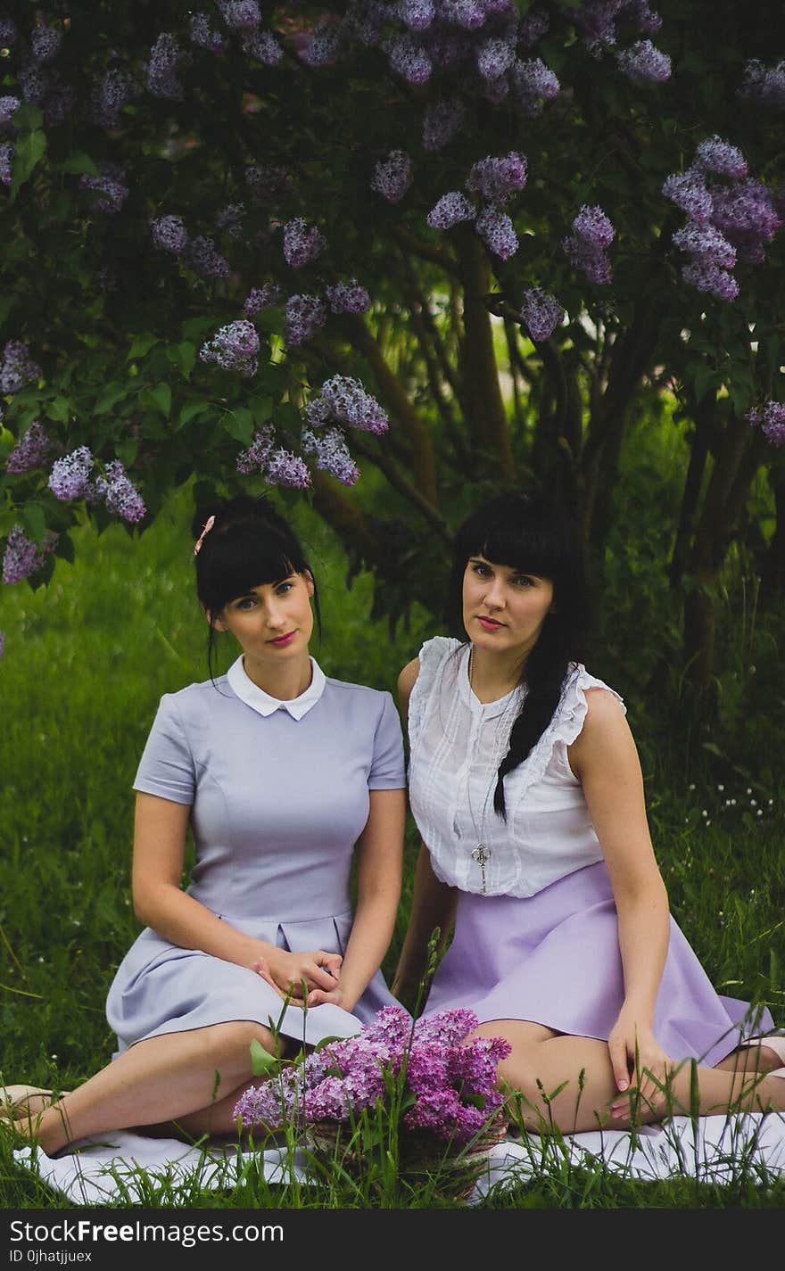 Two Women Wearing Purple Dress Sitting Side-by-side on Grass Field