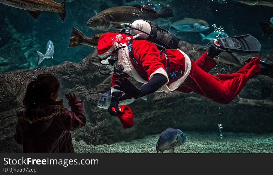 Man in Santa Claus Costume With Diving Gear Inside Aquarium