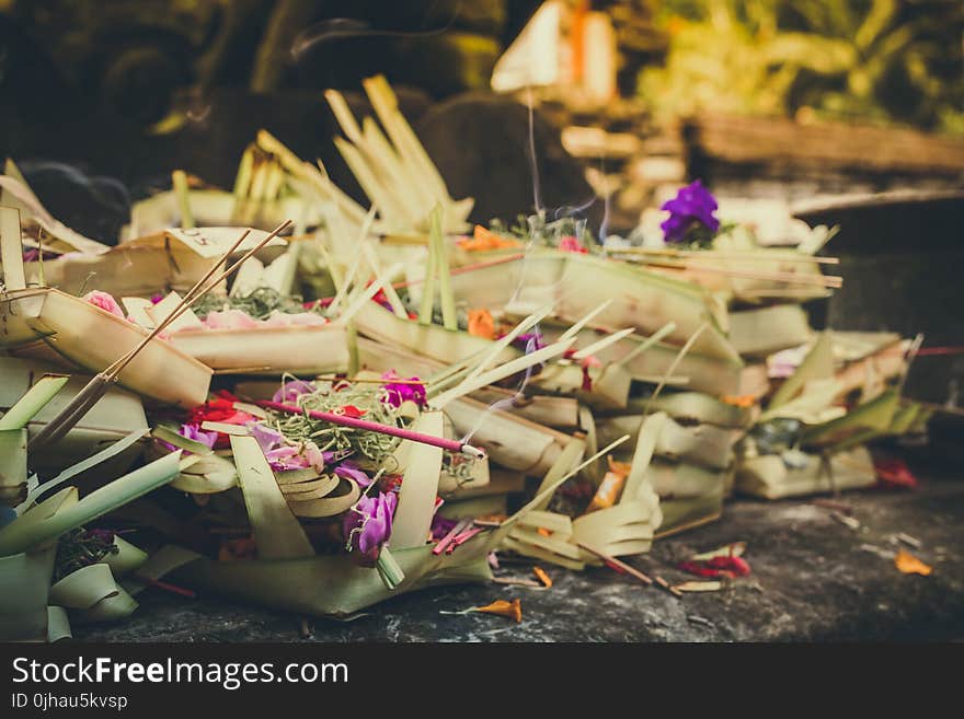 Beige Coconut Leaves