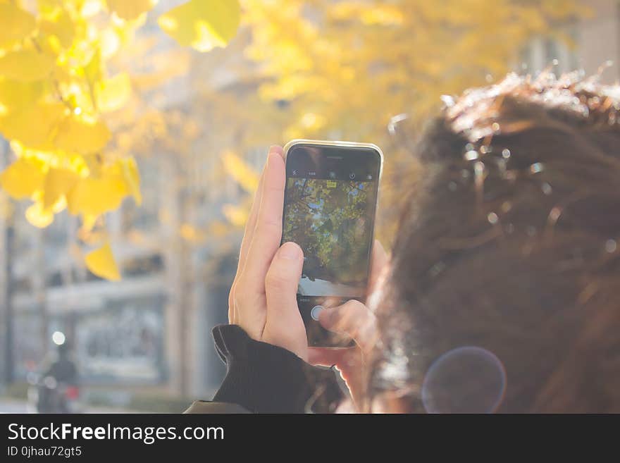 Man Wearing Black Jacket Using Iphone Taking Picture of Green Leaf Tree