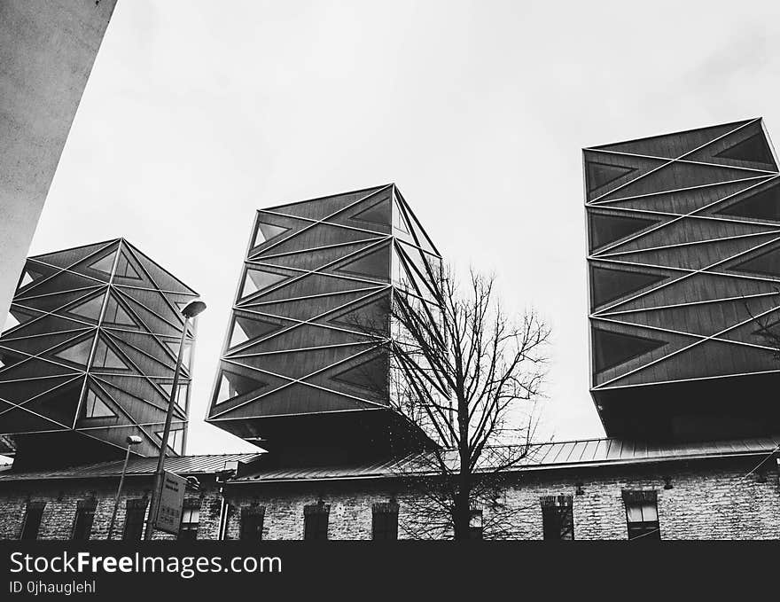 Grayscale Photography of Building