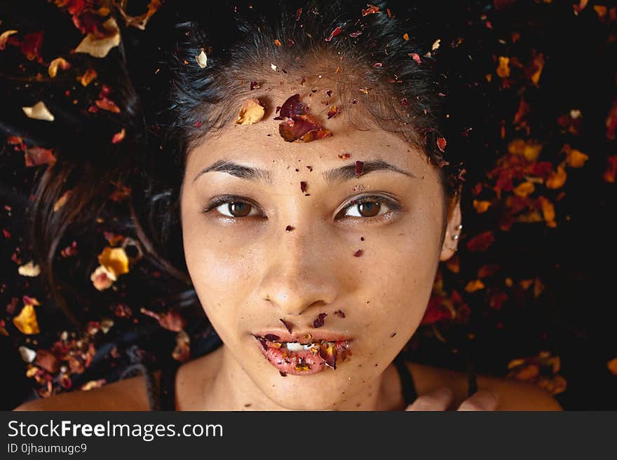 Photography of Woman Whose Lying on Dried Leaves