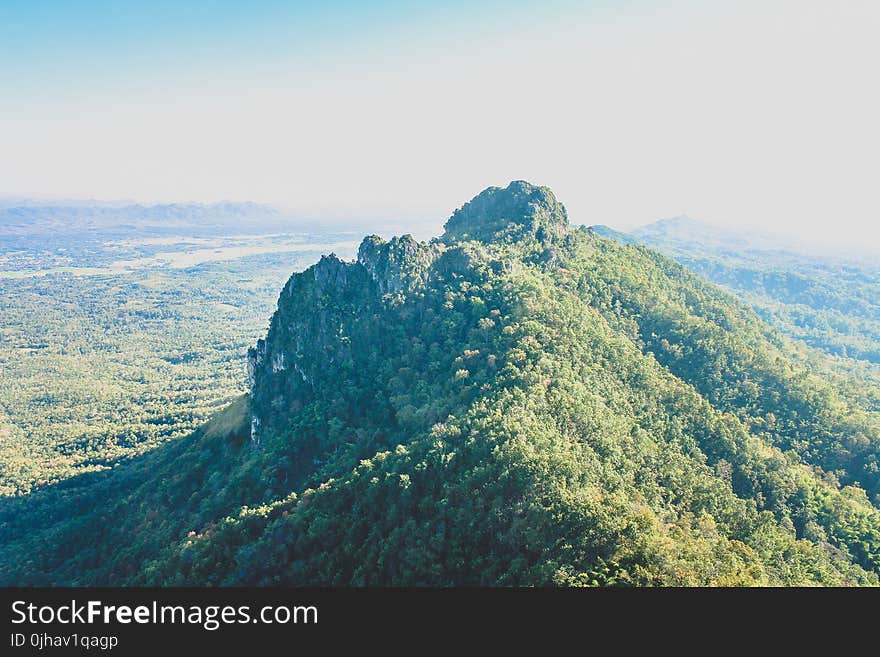 Photo of Mountain Covered with Trees