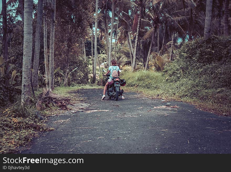 Woman Riding Motor Scooter Near Coconut Trees