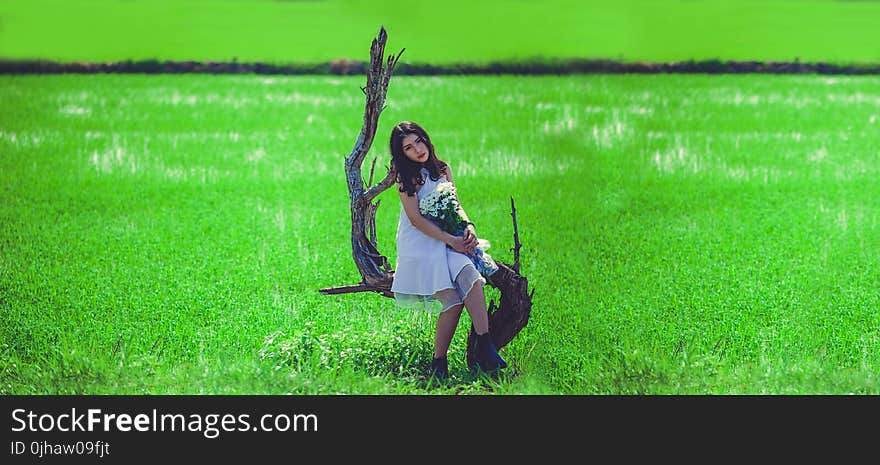 Woman in White Sleeveless Mini Dress Holding White Petaled Bouquet Sitting on Gray Tree Branch at Daytime