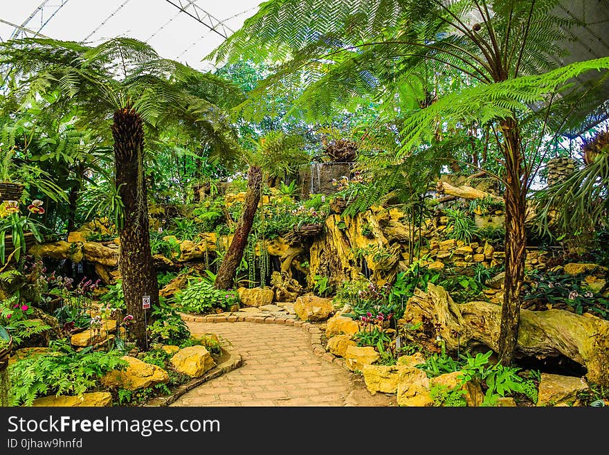 Assorted Green Plants and Trees