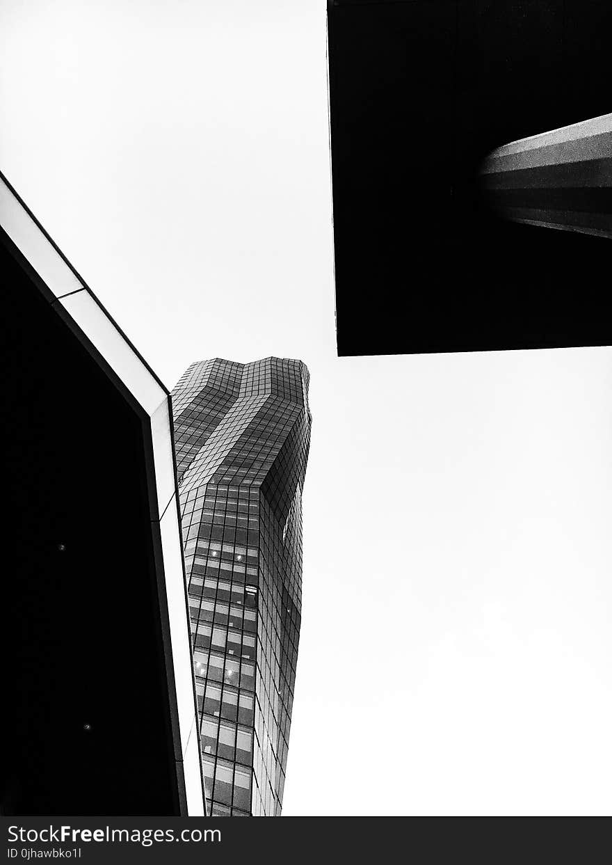 Grayscale Photo of Glass Curtain High Rise Building