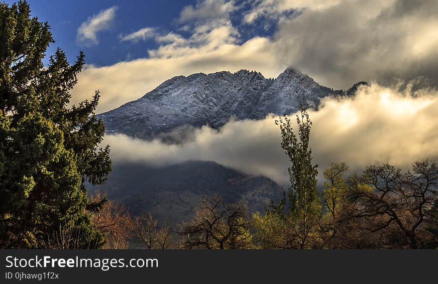 Green Trees Near Mountain Under White Clouds during Noontime