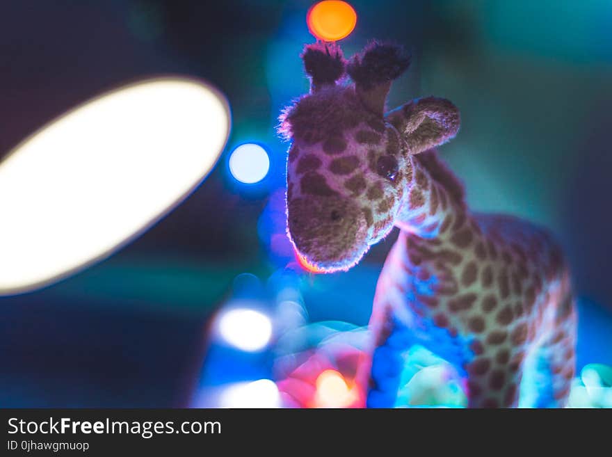 Giraffe Plush Toy Close Up Photo