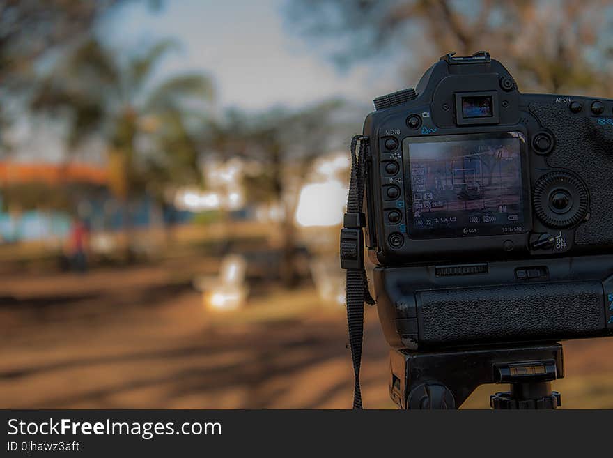 Person Using Black Dslr Camera