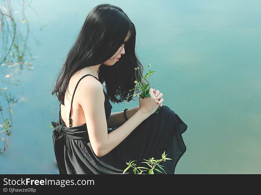 Woman&#x27;s Black Dress Photo