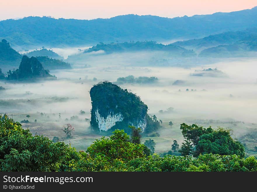 Photo of Trees and Mountains