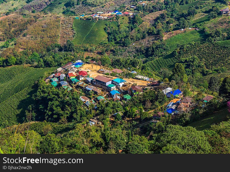 Aerial View of Houses