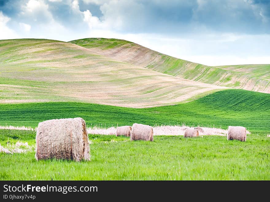 Several Hay Rolls on Grass Field Within Mountain Range