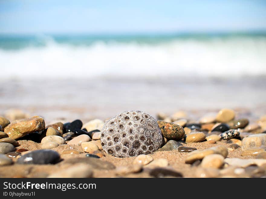 Gray and Brown Pebbles Near Sea