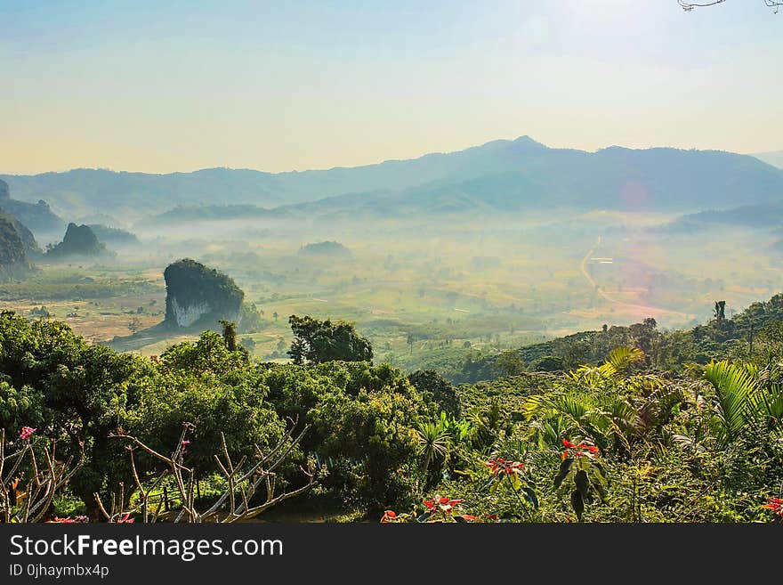 Scenic View of the Mountains