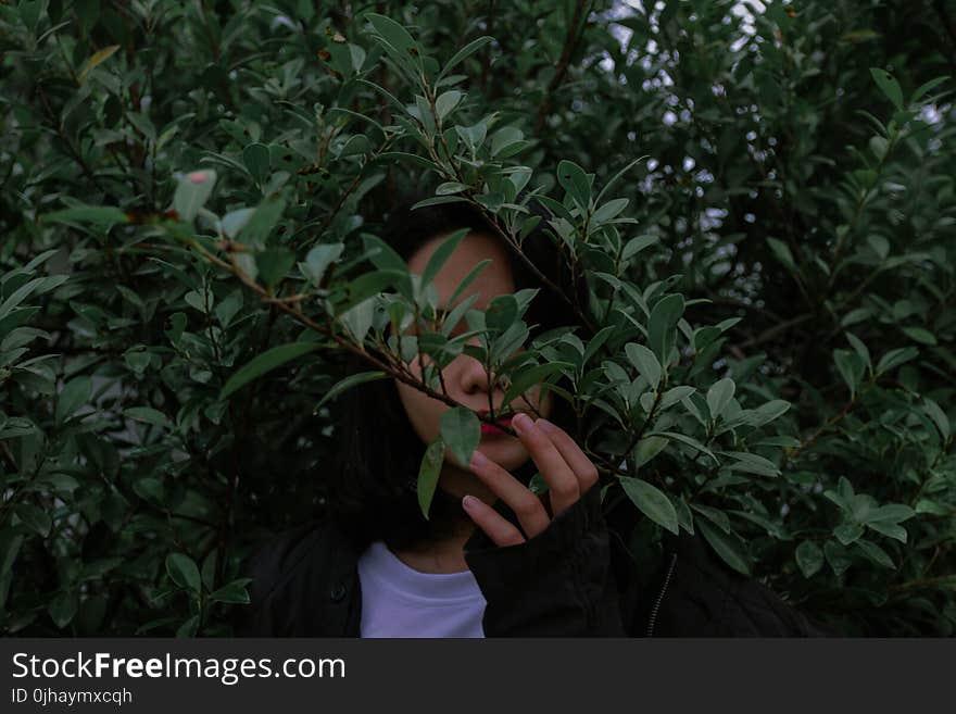 Woman Wearing Black Jacket Beside Green Leaved Trees