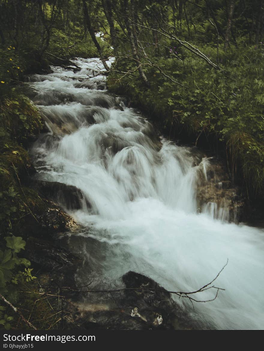 Forest Water Falls