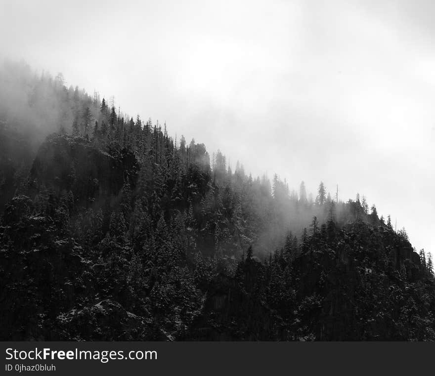 Aerial Photo of Foggy Black and White Mountain