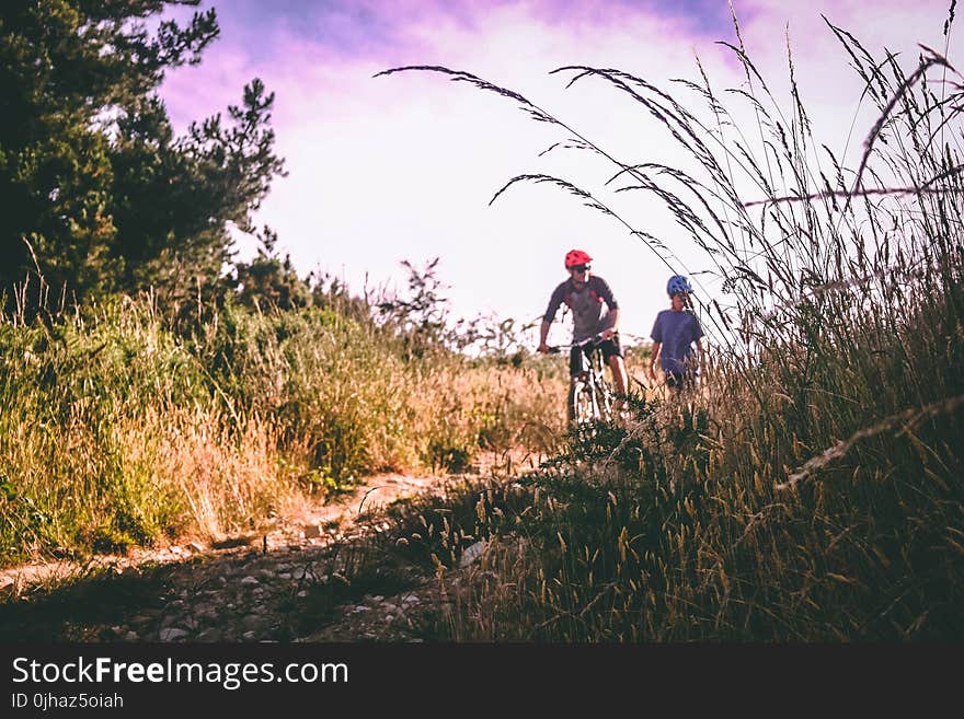 Two Bikers on Bush-lined Path