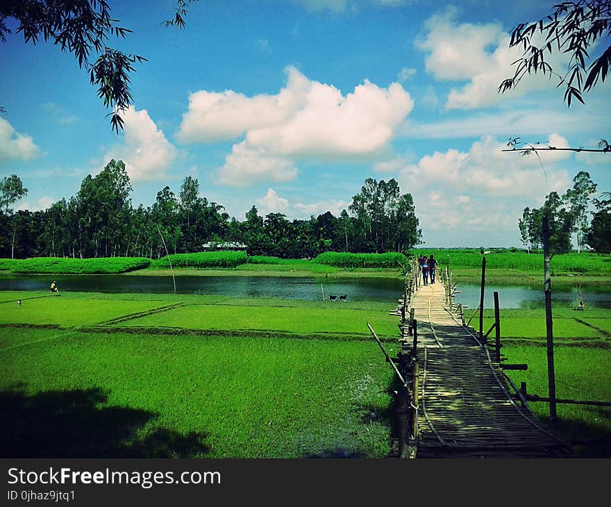 Scenic View of the Farm