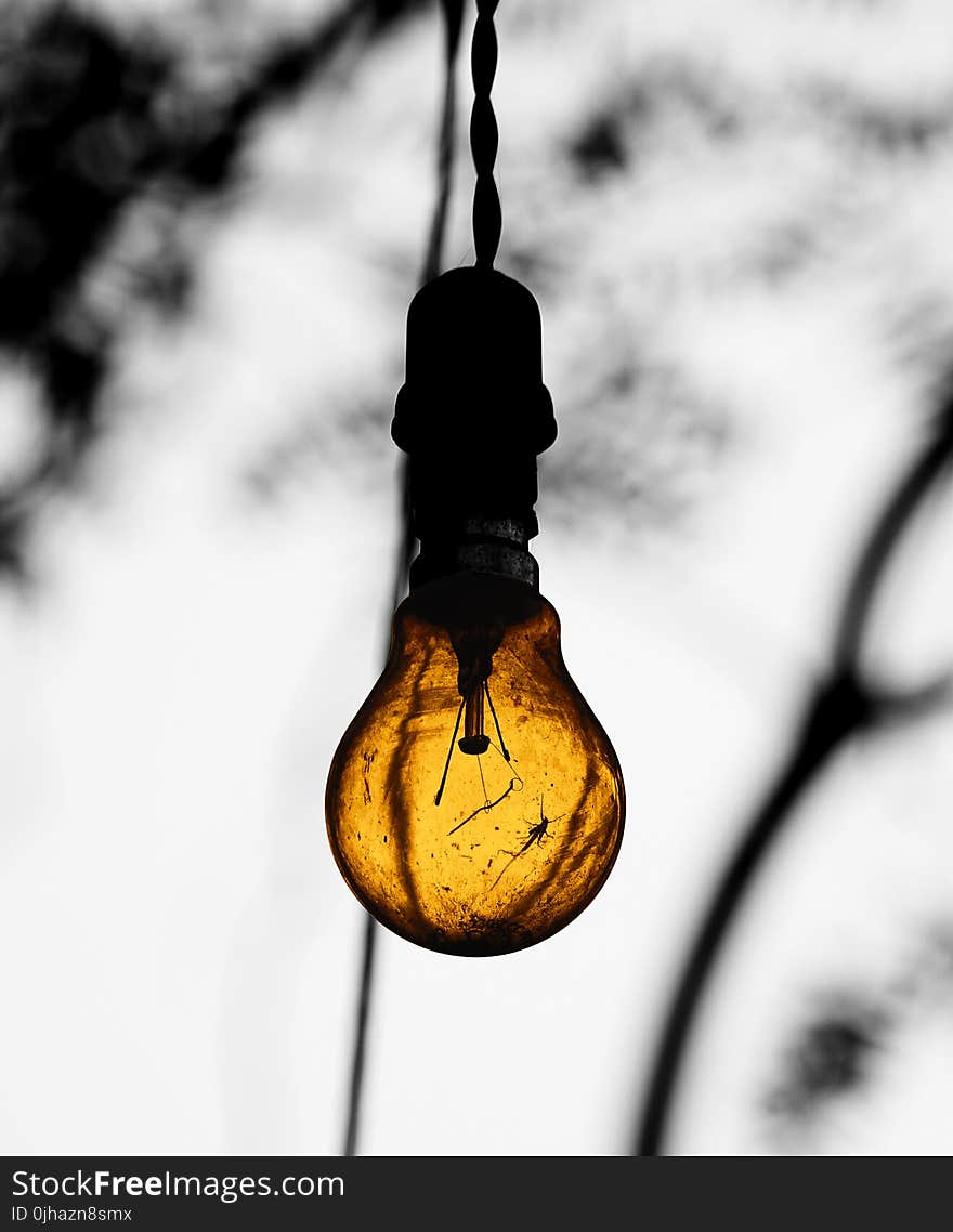 Close-Up Photography of Lightbulb