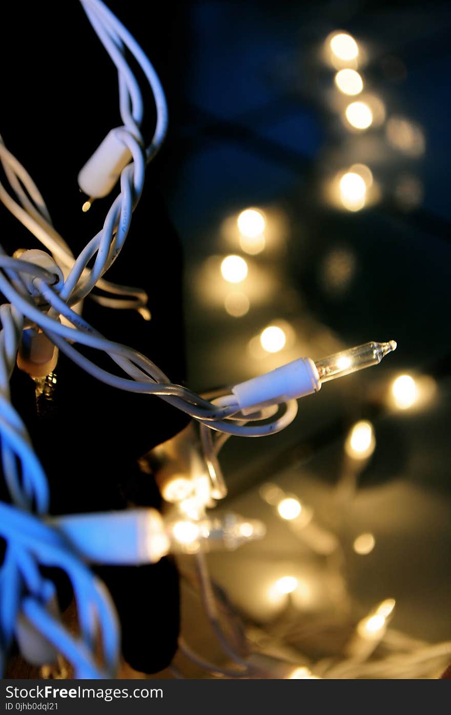 Close Up Photo of Stringlights