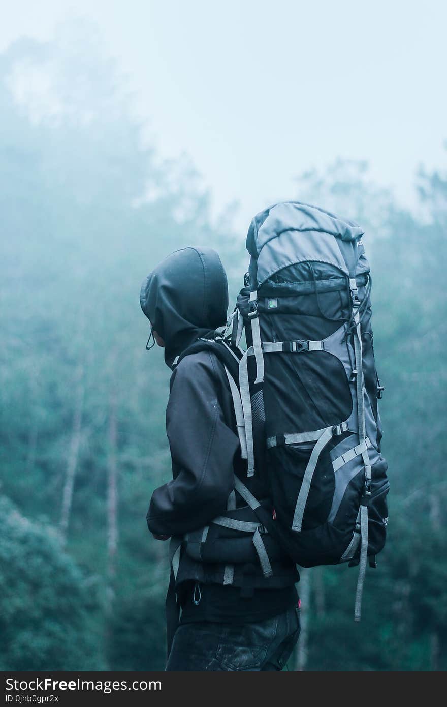 Man Wearing Black Hoodie Carries Black and Gray Backpacker Near Trees during Foggy Weather