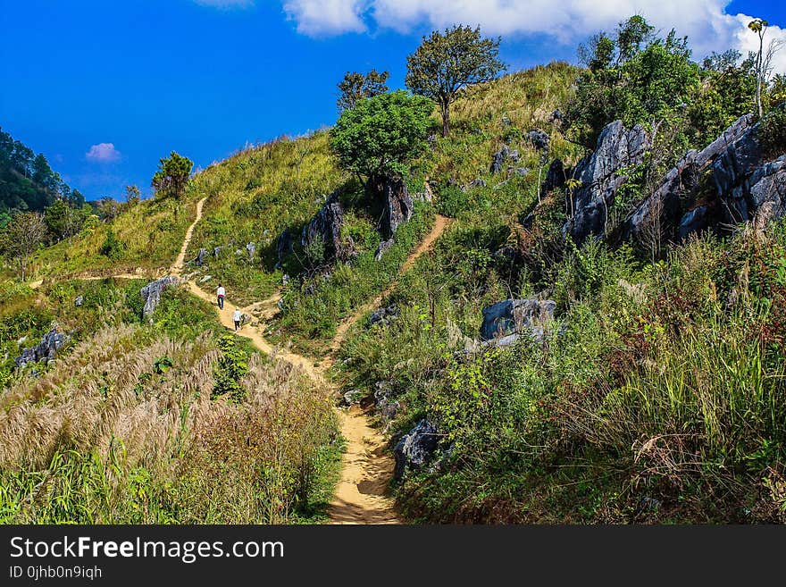 Green Grass Filled Hill Under Blue Sky