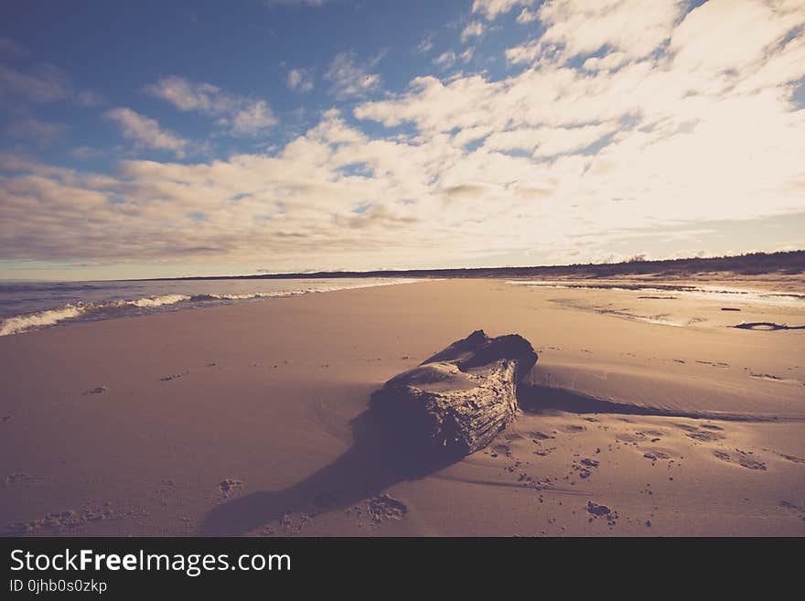 Brown Wood Log on Sand Near Seashore