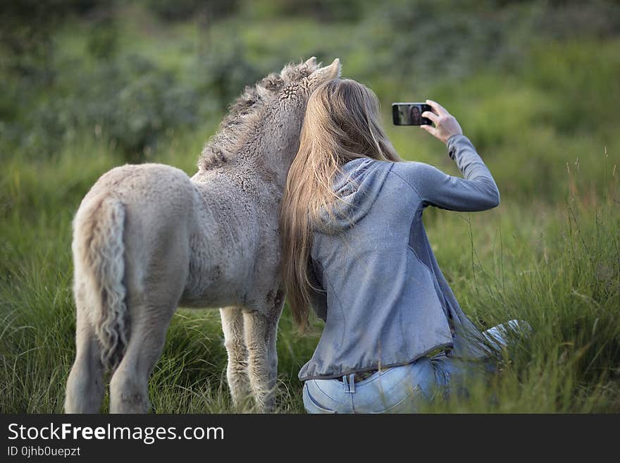 Woman Beside Donkey Taking Selfie on Grass