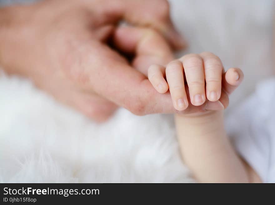 Baby Holding It&#x27;s Parent Finger