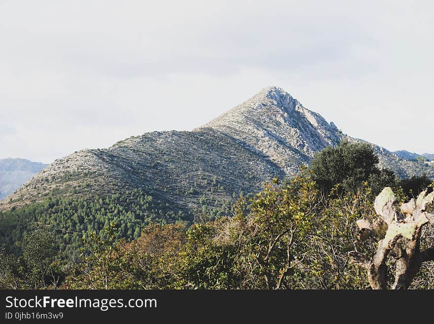 Scenic View of the Mountain