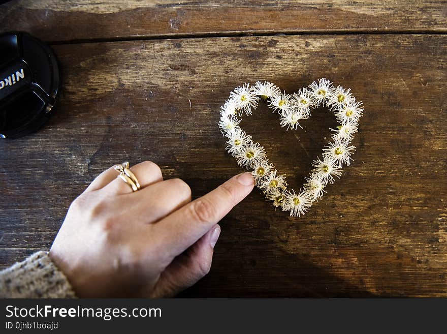 White Flower Forming Heart