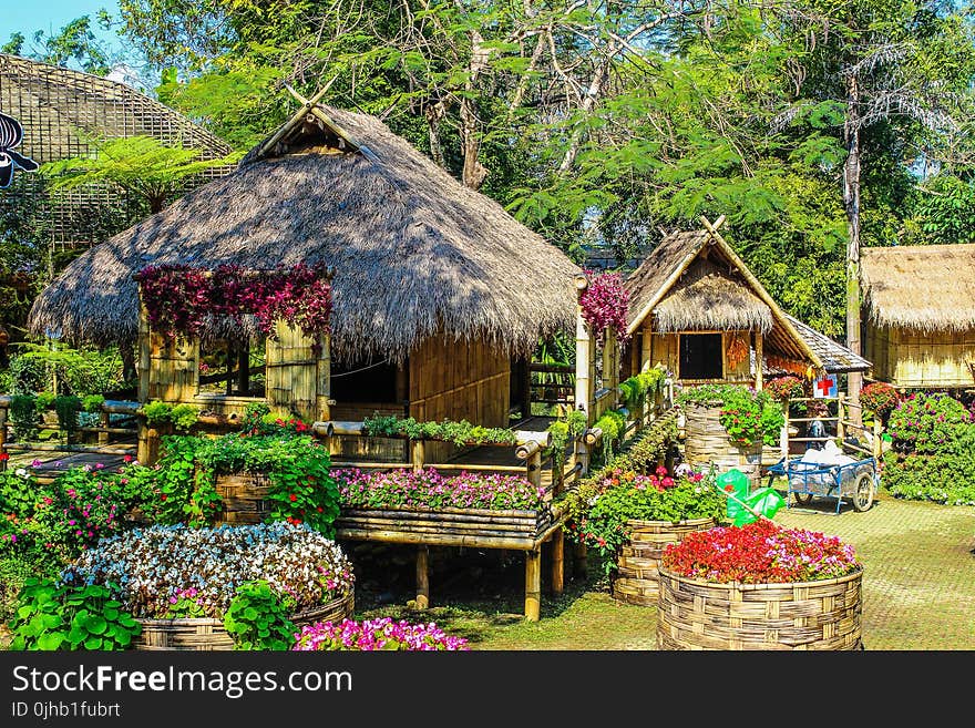 Photo of Huts Surrounded by Flowers