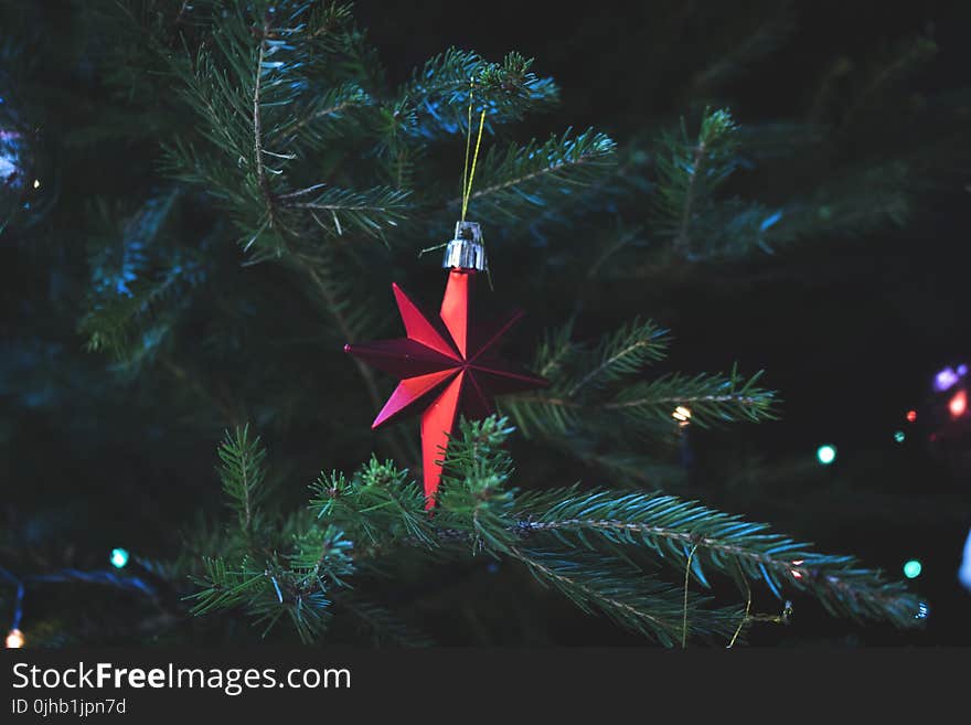 Photo of Red Christmas Tree Decor