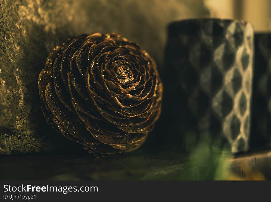 Close-up Photography of Golden Pine Cone