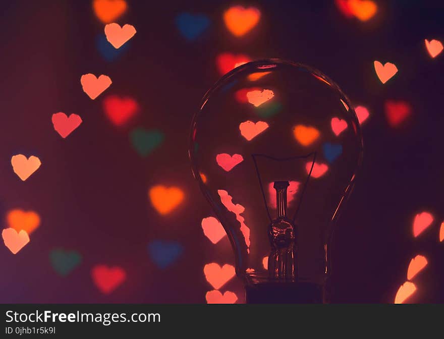 Photo of Illuminated Hearts Around the Light Bulb