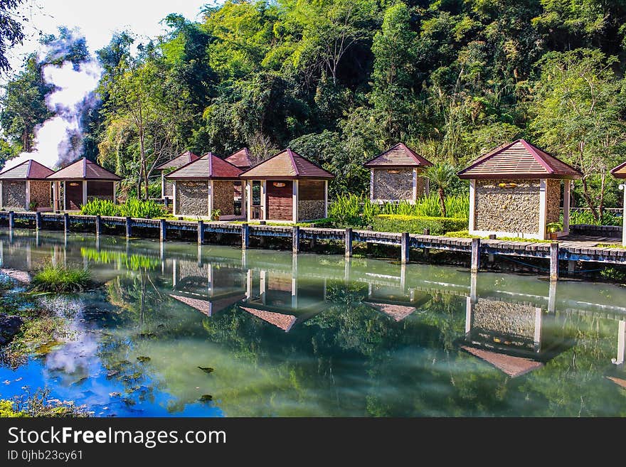 Kiosks Near Calm Body of Water Surrounded by Tall Trees at Daytime